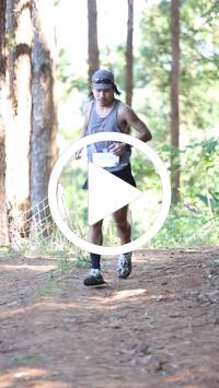 BIB:  <button type="button" onclick="openModal(26567922)" class="btn btn-primary btn-sm float-right" data-toggle="modal" data-target=".modal-high-quality">
                <i class="fa fa-download"></i> Download
                </button>